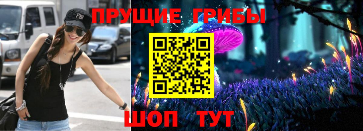 Галлюциногенные грибы GOLDEN TEACHER Сокол